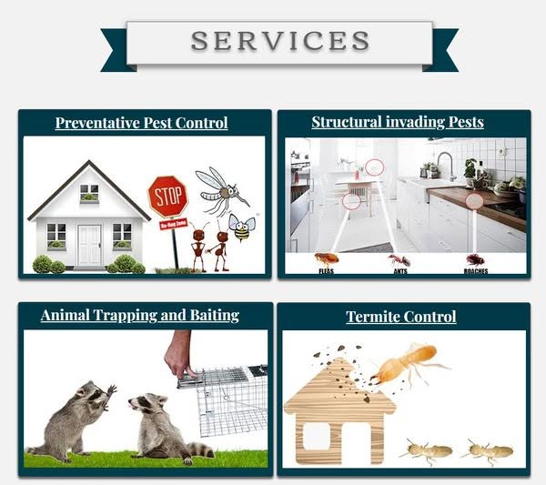 Some of the services that Bug Zone Inc., a member of Neighborhood Network Services, offers.…